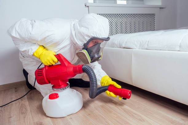 Best Bed Bug Extermination  in Solana Beach, CA