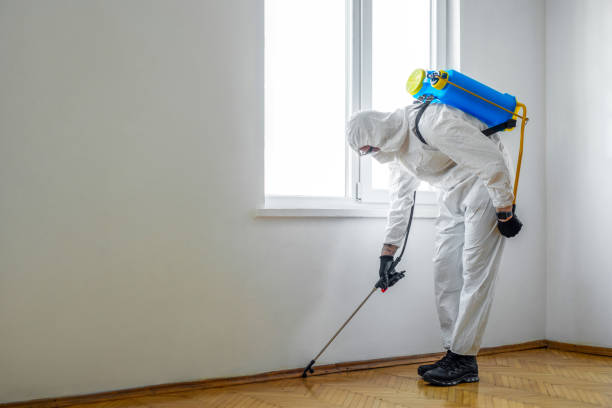 Best Pest Removal Services  in Solana Beach, CA