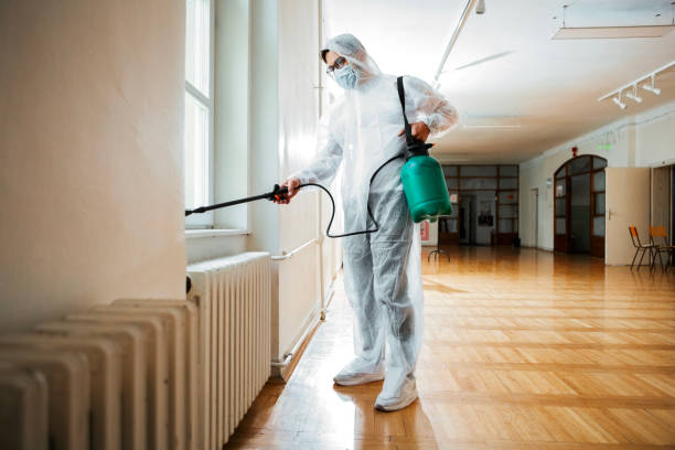 Best Termite Control Services  in Solana Beach, CA